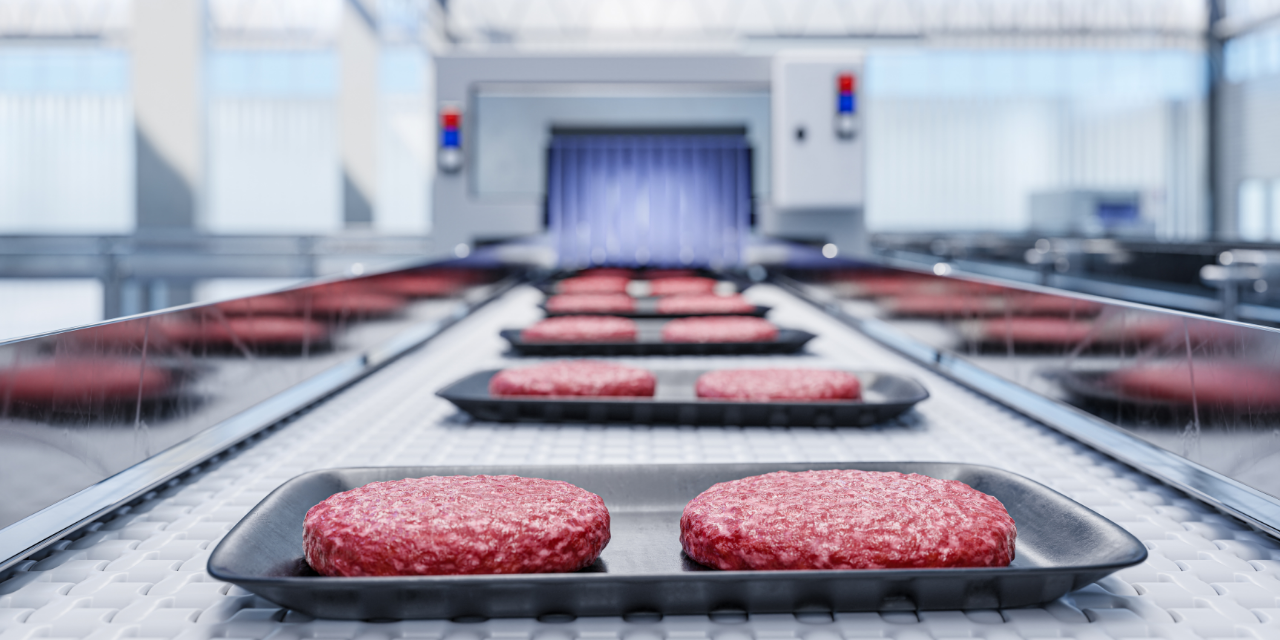 Hamburger patties moving down a conveyor belt in a meet processing plant.